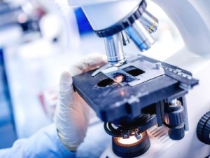 The Growing Demand for Disease Diagnosis Drives the Optical Microscopes Market 