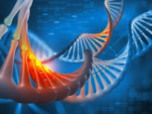 Spatial Genomics Transcriptomics Market Poised to Reach New Heights Owing to Technological Advancements
