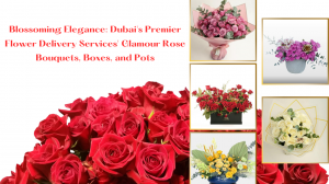 Blossoming Elegance: Dubai's Premier Flower Delivery Services' Glamour Rose Bouquets, Boxes, and Pots