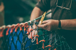 Sailing the Blue Economy: Trawl Ropes and Nets Market in a Sustainable World
