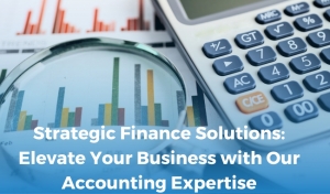 Simplify Your Accounting: Elevate Efficiency with Top-Tier Ledger Software