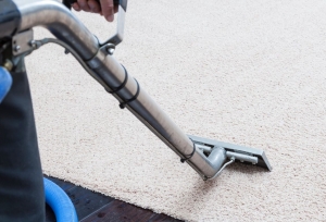 Everything You Need to Know About Carpet Cleaning in Washington DC