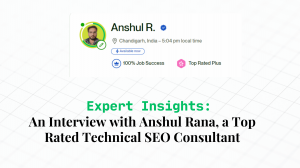 Technical SEO Expert