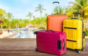 Exploring the Travel Retail Boom: How Luggage Market Trends Align with Consumer Behavior