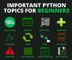 Foundations of Python Programming: A Comprehensive Overview