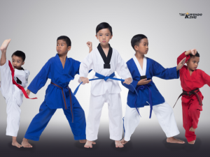 Top 11 Best Taekwondo Academy in Nevada, USA