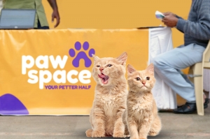 Pawspace: Elevating Pet Sitting Services in Bangalore to New Heights