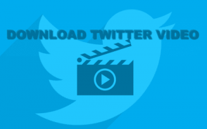 How to Download TWITTER Videos