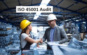 Exploring the Users and Purpose of the ISO 45001 Audit Checklist