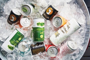 Crafting Convenience: Convenience Stores and the Canned Alcoholic Beverages Market