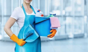 Exploring the Best Maid Services in Aubrey, TX