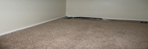 What to Expect From All Colors Carpet Cleaning, Our Best Carpet Cleaning Deals