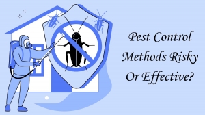 Pest Control Methods Risky Or Effective?