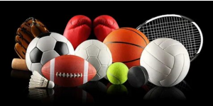 Let's Explore the Market Share of Top Players in the Booming Sports Equipment Industry