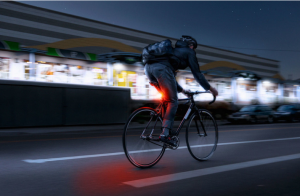 A Deep Dive into the Global Road Bike Market