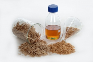 Assessing the Competitive Landscape of the Furfural Market