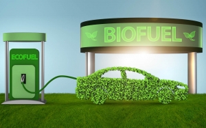 Rising to the Challenge: Overcoming Barriers to Entry in the U.S. Biofuels Market