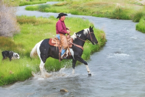 Leather Chap Mens Redefined For  the Fashion Adventurer