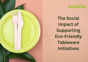 The Social Impact of Supporting Eco-Friendly Tableware Initiatives