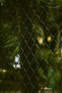 5 Shocking Reasons Why Chain Wire Fencing Beats Wooden Fences