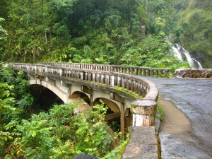 Exploring Road to Hana: A Journey through Paradise's Paths