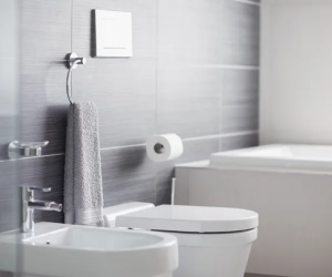 From Repairs To Remodels: Discover The Top Bathroom Services In Valley Village, CA