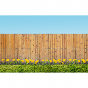 Unveiling Excellence: The Pinnacle of Better Vinyl Fencing in Toronto