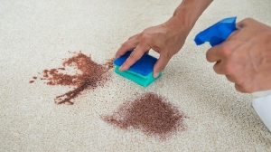 Easy Blood Stain Removal Tips: Bond Cleaning Ormeau