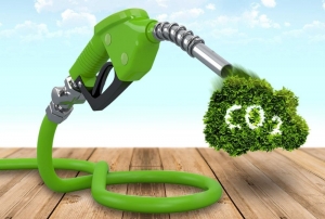 Bioethanol Market Sustainability: Balancing Economic and Environmental Goals