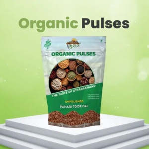 Organic Pulses - Kudaal