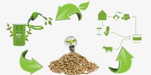 ASEAN's Role in Shaping the Future of the Asia Waste and Biomass Valorization Market: Collaboration and Innovation