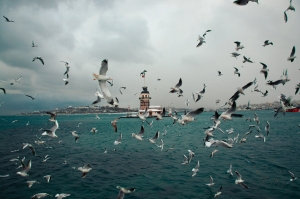 Art & Architecture Immersion: Discovering Cultural Treasures from India to Turkey and Scandinavia