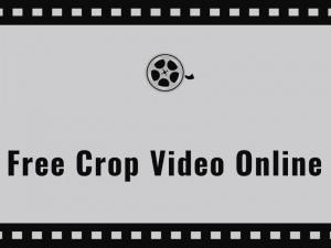 The Ultimate Crop Video Tutorial: Enhance Your Content in Minutes