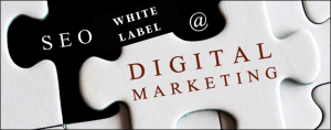 Exploring: White Label Marketing Agency India and WordPress Website Costs in India