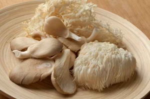 The Powerful Spiritual Benefits of Lion's Mane Mushroom