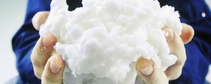 Asia Pacific Paper and Pulp Chemical Market Size, Share, Demand & Opportunity 2030
