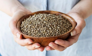 Hemp Seed Processing Plant Report 2024: Business Plan, Unit Setup, and Details