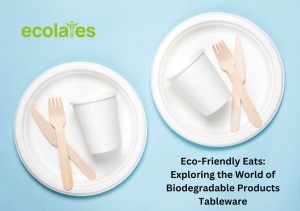 Eco-Friendly Eats: Exploring the World of Biodegradable Products Tableware