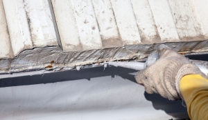 Choosing the Right Materials for Lasting Roof Leak Repair in Newnan