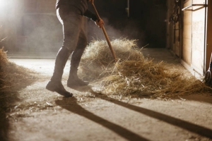 affordable barn cleanout services derry nh