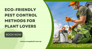 Eco-Friendly Pest Control Methods for Plant Lovers