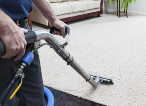 Tips and Tricks for Maintaining Your Carpet and Extending Its Lifespan in Washington DC