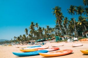 Top Places to Visit in Canacona (2024)