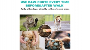 Protecting Your Pup: The Benefits Of Paw And Nose Balm In Harsh Weather