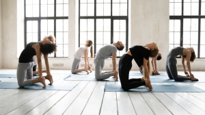 5 Reasons Why Yoga Studios are Important