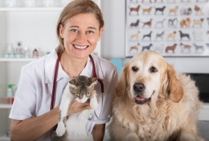 Pet Health and Wellness: Tips for Keeping Your Companion Happy and Healthy