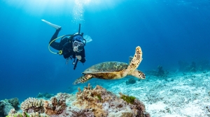 The Ultimate Guide to Advanced Open Water Certification with Adventure Scuba LLC