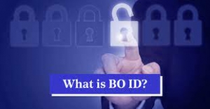 Unveiling the Meaning of BO ID