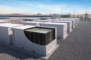 Advanced Energy Storage Systems Market: Market Segmentation and Forecast