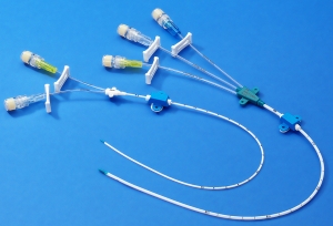 Intermittent Catheters Market Trends and Growth Forecast 2031